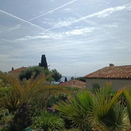L'albizia * Nizza